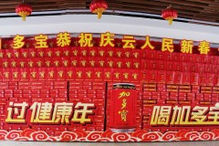 创意堆头火爆出圈 加多宝“宝文化”为春节氛围再加码