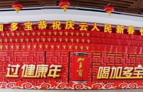 创意堆头火爆出圈 加多宝“宝文化”为春节氛围再加码